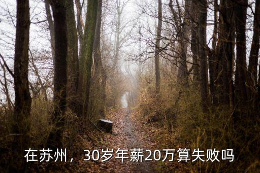 在蘇州，30歲年薪20萬算失敗嗎