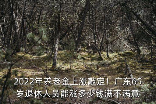 廣東的養(yǎng)老老金漲多少,養(yǎng)老金4000元漲多少
