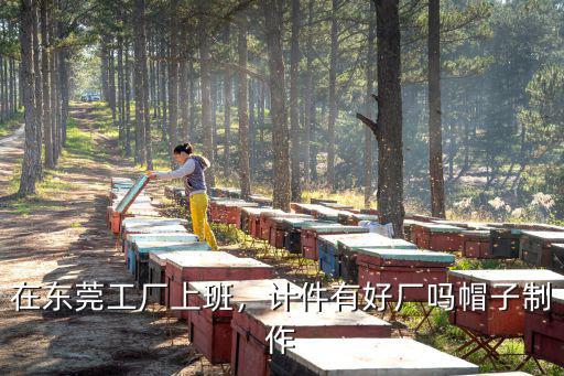 東莞計(jì)件工廠哪里比較多,在東莞工廠上班