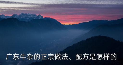 廣東仔賣牛雜怎么樣,廣東牛雜的正宗做法