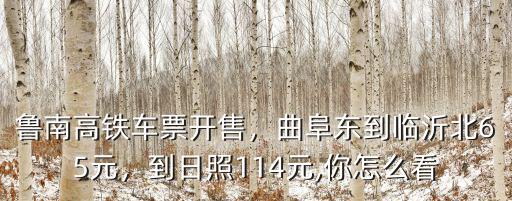 魯南高鐵車票開售，曲阜東到臨沂北65元，到日照114元,你怎么看