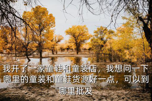東莞哪里批發(fā)童鞋,東莞有哪些服裝批發(fā)市場