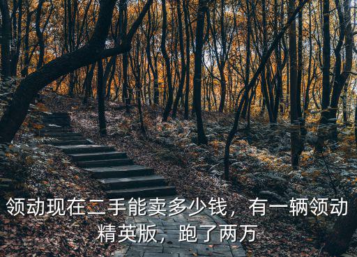 領動現在二手能賣多少錢，有一輛領動精英版，跑了兩萬