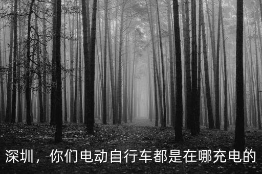 深圳電單車在哪里充電,深圳一小區(qū)9樓傍晚起火