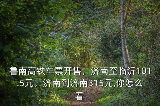 魯南高鐵臨沂到日照票價多少錢,魯南高鐵車票開售