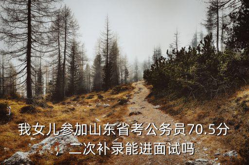 山東公務員大約多少分能進面試,二次補錄能進面試嗎