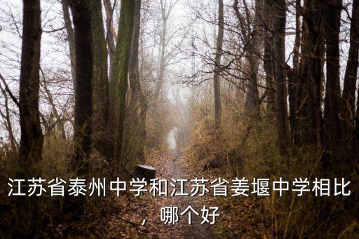 江蘇省泰州中學和江蘇省姜堰中學相比，哪個好
