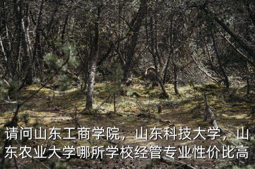 山東科技大學經濟管理學院多少人,請問山東工商學院