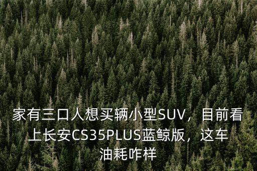 長安南京發動機百公里油耗多少,T百公里油耗多少