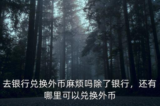 惠州哪里可以外匯兌換,還有哪里可以兌換外幣