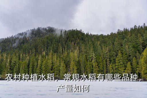 廣州水稻畝產多少斤,我國稻田畝產最高可達多少斤