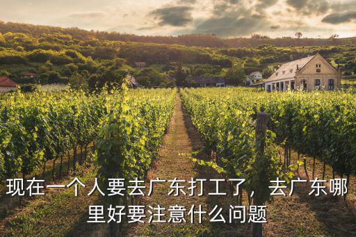 現(xiàn)在一個人要去廣東打工了，去廣東哪里好要注意什么問題