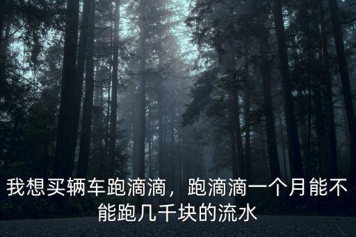 我想買(mǎi)輛車(chē)跑滴滴，跑滴滴一個(gè)月能不能跑幾千塊的流水