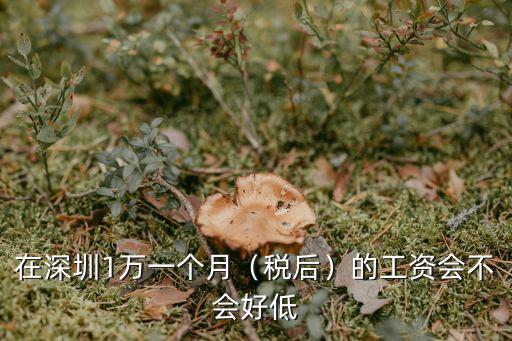 在深圳1萬一個月（稅后）的工資會不會好低