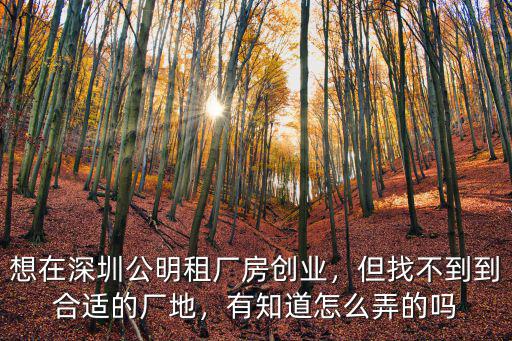 怎么在深圳辦廠,想在深圳公明租廠房創(chuàng)業(yè)