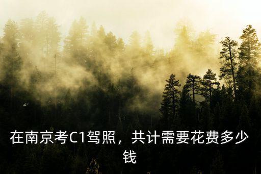 南京駕校一般多少錢啊,南京駕校有哪些