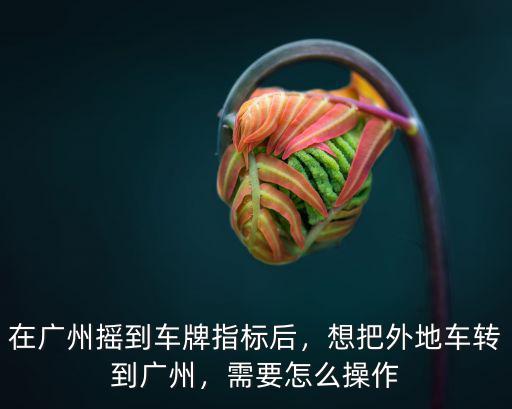 廣州中小指標(biāo)過(guò)期后怎么操作,在廣州搖到車(chē)牌指標(biāo)后