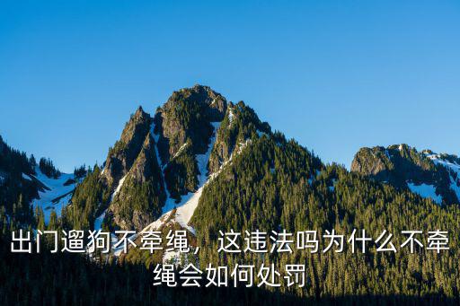 出門遛狗不牽繩，這違法嗎為什么不牽繩會如何處罰