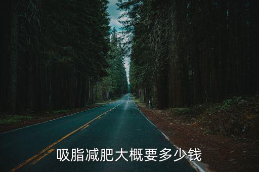 吸脂減肥大概要多少錢