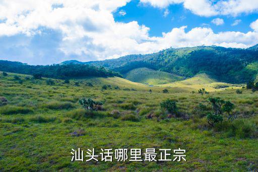 汕頭話哪里最正宗