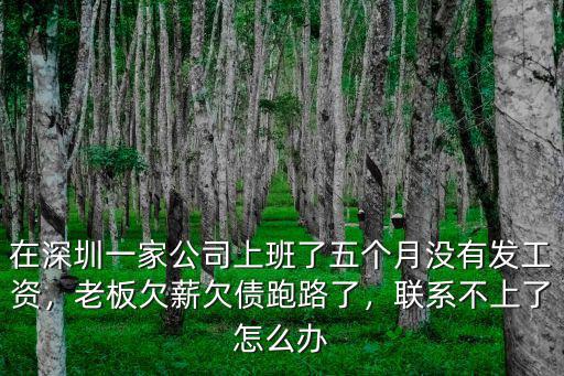 在深圳一家公司上班了五個月沒有發(fā)工資，老板欠薪欠債跑路了，聯(lián)系不上了怎么辦