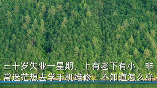 三十歲失業一星期，上有老下有小，非常迷茫想去學手機維修，不知道怎么樣