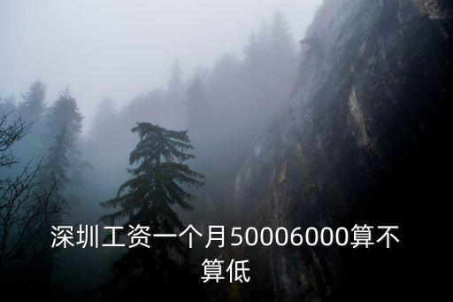深圳理光一個月工資多少,深圳普通人一個月多少工資