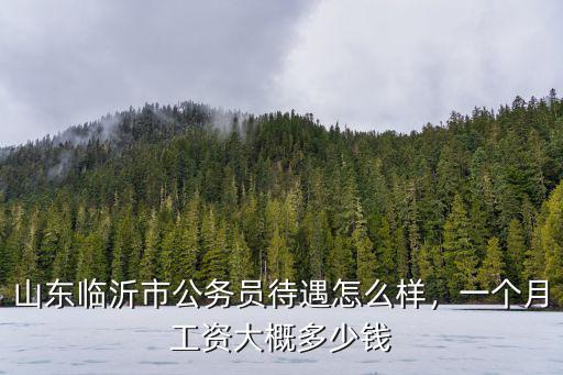 臨沂印鐵的工資是多少,一個月工資大概多少錢