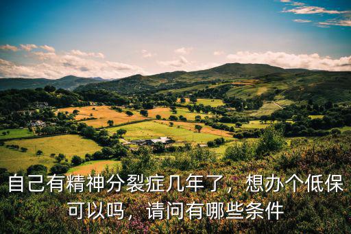 淮安精神分裂癥可以拿多少低保,想辦個低保可以嗎