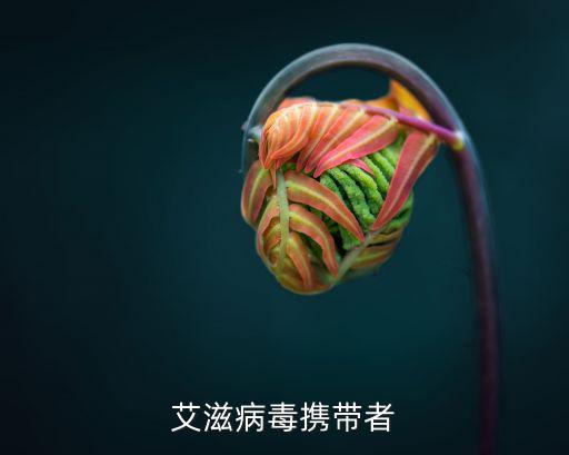 艾滋病毒攜帶者