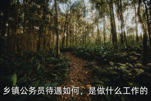 鄉(xiāng)鎮(zhèn)公務(wù)員待遇如何，是做什么工作的