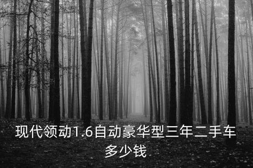 南京18年現(xiàn)代領(lǐng)動(dòng)二手的多少錢,有一輛領(lǐng)動(dòng)精英版