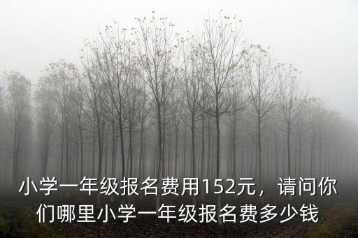 淮安漣水一年級學費多少,小學一年級報名費用152元