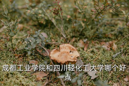 成都工業(yè)學(xué)院和四川輕化工大學(xué)哪個(gè)好一點(diǎn)