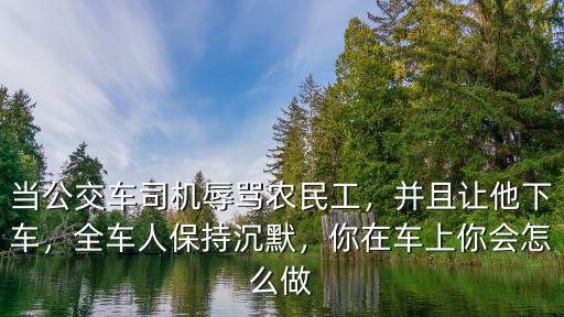 廣東衛視你會怎么做民工公交車,當公交車司機辱罵農民工
