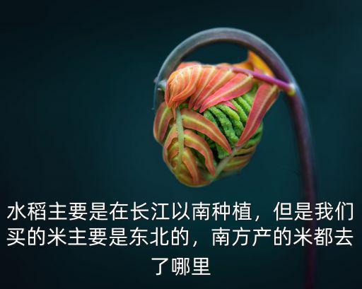水稻主要是在長(zhǎng)江以南種植，但是我們買的米主要是東北的，南方產(chǎn)的米都去了哪里