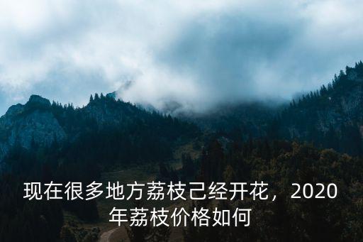 現在很多地方荔枝己經開花，2020年荔枝價格如何