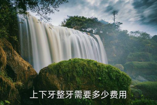 上下牙整牙需要多少費用