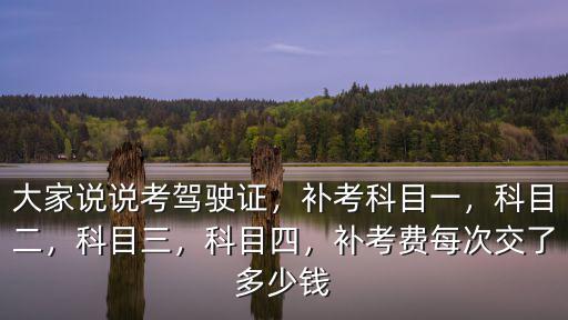 大家說說考駕駛證，補考科目一，科目二，科目三，科目四，補考費每次交了多少錢