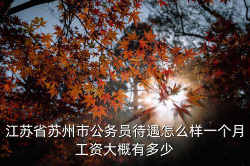 江蘇省蘇州市公務員待遇怎么樣一個月工資大概有多少