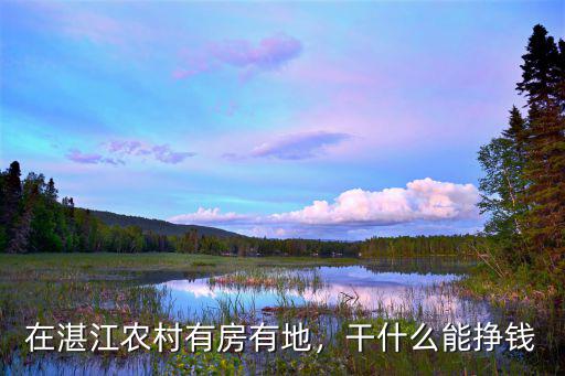 在湛江農村有房有地，干什么能掙錢