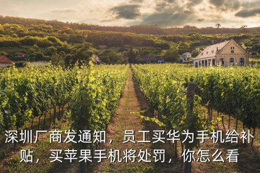 深圳廠商發通知，員工買華為手機給補貼，買蘋果手機將處罰，你怎么看