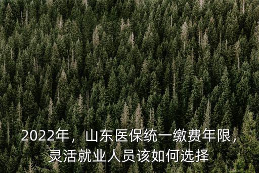 山東靈活就業(yè)醫(yī)保年限多少年,靈活就業(yè)人員該如何選擇