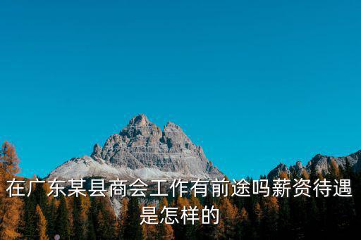 廣東東安商會怎么樣,在廣東某縣商會工作有前途嗎