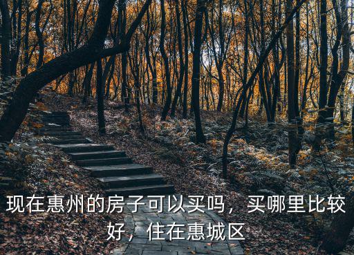 現(xiàn)在惠州的房子可以買(mǎi)嗎，買(mǎi)哪里比較好，住在惠城區(qū)