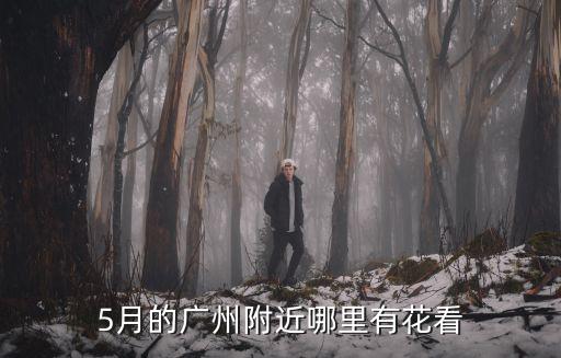 5月的廣州附近哪里有花看