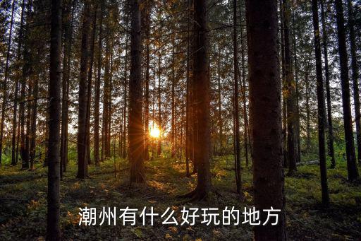 潮州哪里有好玩的地方晚上,潮州有什么好玩的地方