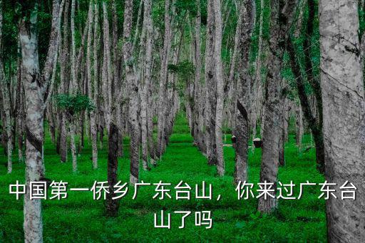 廣東臺山廣海中國銀行行號是多少,中國第一僑鄉廣東臺山