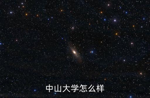 中山大學文博專業學術水平怎么樣,中山大學計算機專業怎么樣