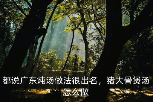 廣東八刀湯怎么做,豬大骨煲湯怎么做